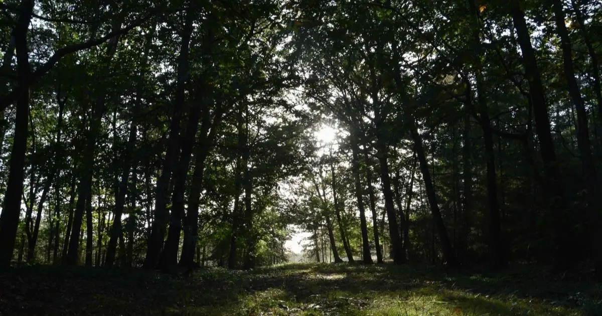 Nature et écologie